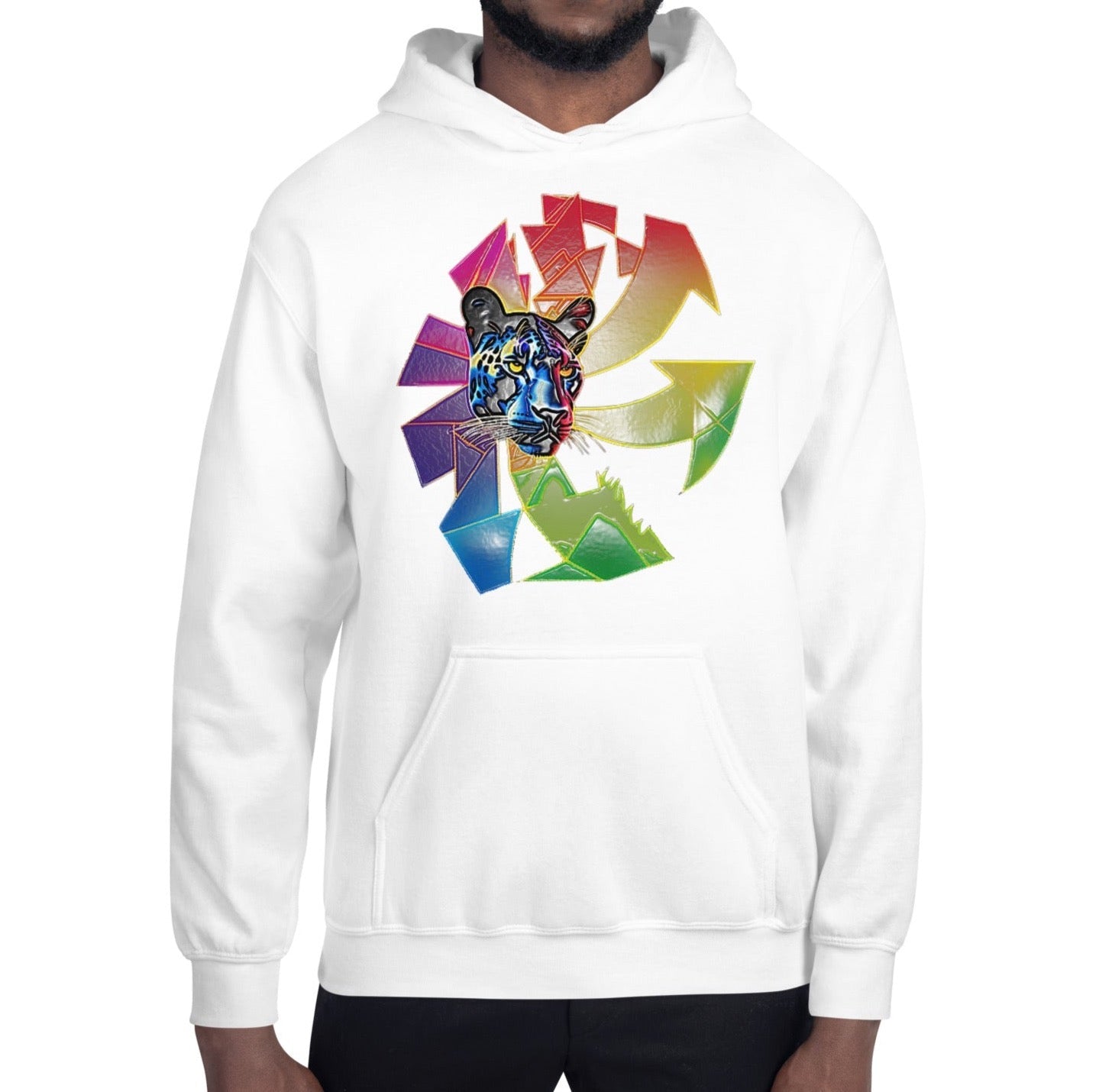 Fashionable Puma Unisex Hoodie | Oversized Shirt | Graphic Puma Arrows - Dhalfashionistt
